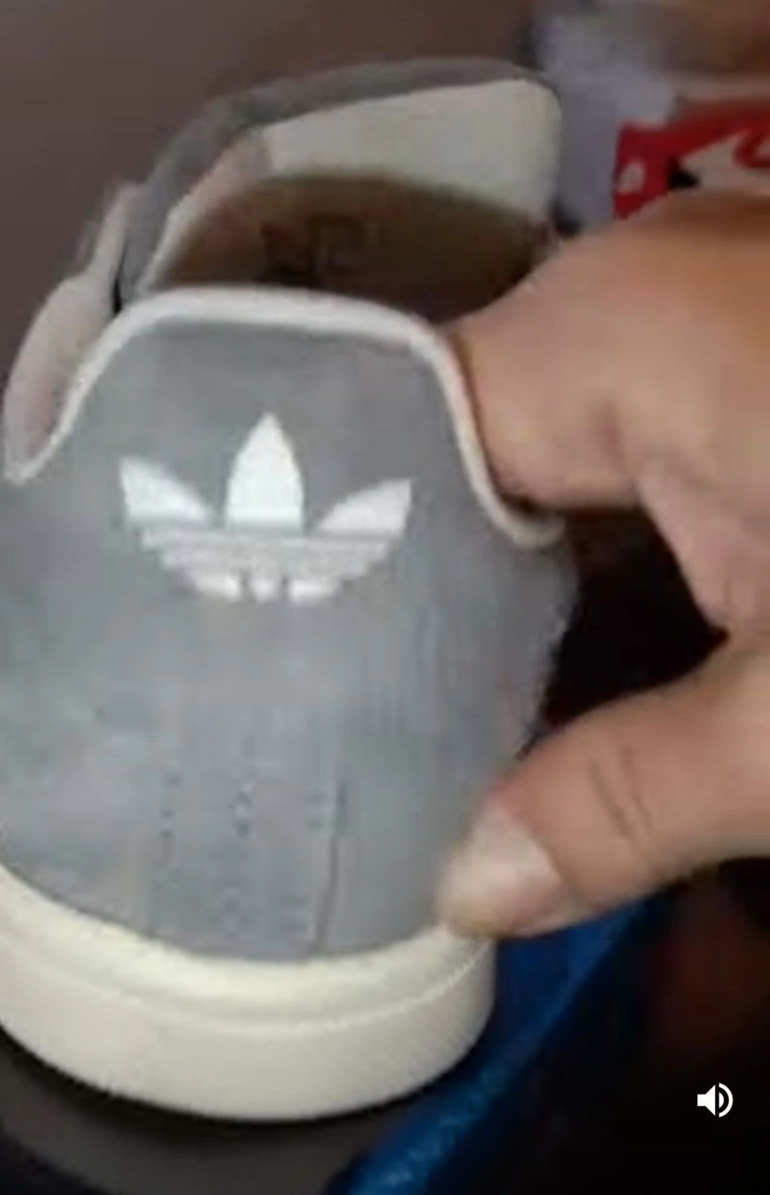 Adidas campus – photo 3